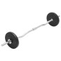 vidaXL Langhantel- und Kurzhantel-Set 30 kg vidaXL Langhantel- und Kurzhantel-Set 30 kg