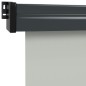 Balkon-Seitenmarkise 170x250 cm Grau Balkon-Seitenmarkise 170x250 cm Grau