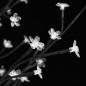 LED-Baum mit Kirschblüten Warmweiß 220 LEDs 220 cm LED-Baum mit Kirschblüten Warmweiß 220 LEDs 220 cm