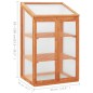 vidaXL Gewächshaus 60x45x100 cm Tannenholz vidaXL Gewächshaus 60x45x100 cm Tannenholz