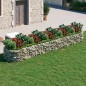 Gabionen-Hochbeet Verzinktes Eisen 500x100x50 cm Gabionen-Hochbeet Verzinktes Eisen 500x100x50 cm