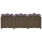 vidaXL Hochbeet 120x40x38 cm Polypropylen vidaXL Hochbeet 120x40x38 cm Polypropylen