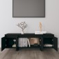 TV-Schrank Schwarz 120x30x40,5 cm Holzwerkstoff TV-Schrank Schwarz 120x30x40,5 cm Holzwerkstoff