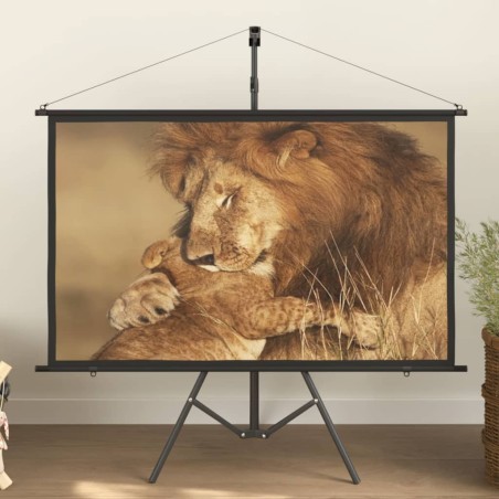 Beamer-Leinwand mit Stativ 60" 16:9