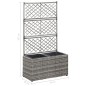 Hochbeet mit Rankgitter 2 Töpfe 58×30×107cm Poly Rattan Grau Hochbeet mit Rankgitter 2 Töpfe 58×30×107cm Poly Rattan Grau
