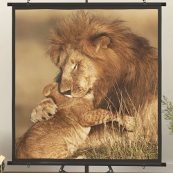 Beamer Leinwand 47" 1:1