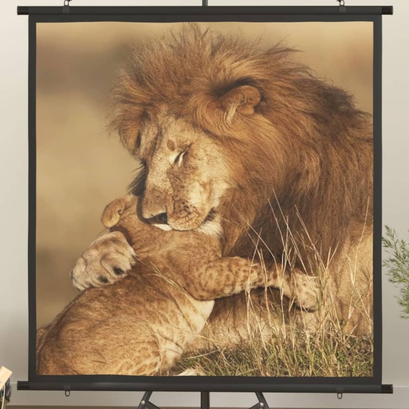 Beamer Leinwand 47" 1:1 Beamer Leinwand 47" 1:1