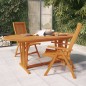 Gartentisch 200x100x75 cm Massivholz Eukalyptus Gartentisch 200x100x75 cm Massivholz Eukalyptus