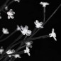 LED-Baum Kirschblüte Warmweiß 84 LEDs 120 cm LED-Baum Kirschblüte Warmweiß 84 LEDs 120 cm