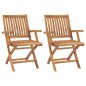 Klappbare Gartenstühle 2 Stk. Massivholz Teak Klappbare Gartenstühle 2 Stk. Massivholz Teak
