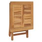 Sonnenliege mit Tisch Massivholz Teak Sonnenliege mit Tisch Massivholz Teak