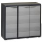 vidaXL Gartenschrank mit 2 Regalen Schwarz und Grau vidaXL Gartenschrank mit 2 Regalen Schwarz und Grau