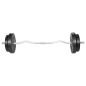 Langhantel Curlstange 30kg Set Hantel Scheiben Langhantel Curlstange 30kg Set Hantel Scheiben