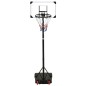 Basketballständer Transparent 216-250 cm Polycarbonat Basketballständer Transparent 216-250 cm Polycarbonat