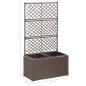 Hochbeet mit Rankgitter 2 Töpfe 58×30×107cm Poly Rattan Braun Hochbeet mit Rankgitter 2 Töpfe 58×30×107cm Poly Rattan Braun