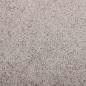 vidaXL Fußmatte 80x120 cm Grau vidaXL Fußmatte 80x120 cm Grau