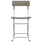 Bistrostühle 2 Stk. Klappbar Grau Poly Rattan und Stahl Bistrostühle 2 Stk. Klappbar Grau Poly Rattan und Stahl