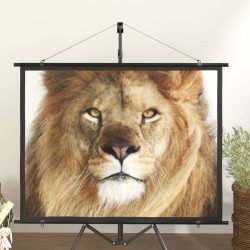 Beamer Leinwand 60" 4:3