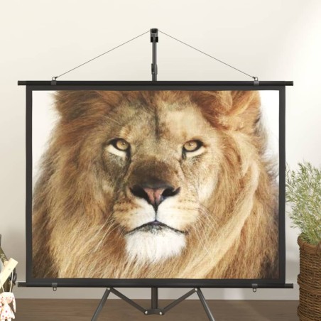 Beamer Leinwand 60" 4:3
