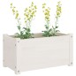 vidaXL Pflanzkübel Weiß 60x31x31 cm Massivholz Kiefer vidaXL Pflanzkübel Weiß 60x31x31 cm Massivholz Kiefer