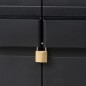 Gartenschrank mit 3 Regalen Schwarz Gartenschrank mit 3 Regalen Schwarz
