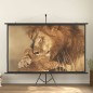 vidaXL Beamer Leinwand 108 16:9 vidaXL Beamer Leinwand 108 16:9