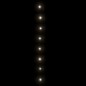 Lichterkette 2000 LEDs Indoor & Outdoor 200 m IP44 Kaltweiß Lichterkette 2000 LEDs Indoor & Outdoor 200 m IP44 Kaltweiß