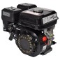 vidaXL Benzinmotor 6,5 PS 4,8 kW Schwarz vidaXL Benzinmotor 6,5 PS 4,8 kW Schwarz