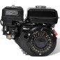 vidaXL Benzinmotor 6,5 PS 4,8 kW Schwarz vidaXL Benzinmotor 6,5 PS 4,8 kW Schwarz