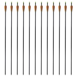 Standard Compoundbogen-Pfeile 30" 0,8 cm Fiberglas 12 Stück