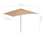 vidaXL Sonnenschirm mit Holz-Mast 200×300 cm Taupe