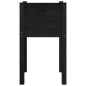 vidaXL Pflanzkübel Schwarz 40x40x70 cm Massivholz Kiefer vidaXL Pflanzkübel Schwarz 40x40x70 cm Massivholz Kiefer
