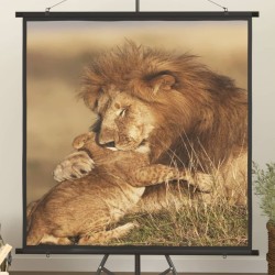 Beamer Leinwand 50" 1:1