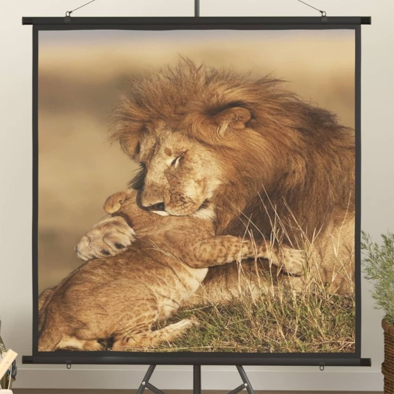 Beamer Leinwand 50" 1:1 Beamer Leinwand 50" 1:1