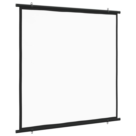 Beamer Leinwand 50" 1:1