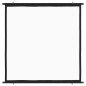 Beamer Leinwand 50" 1:1 Beamer Leinwand 50" 1:1