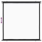 Beamer Leinwand 50" 1:1 Beamer Leinwand 50" 1:1