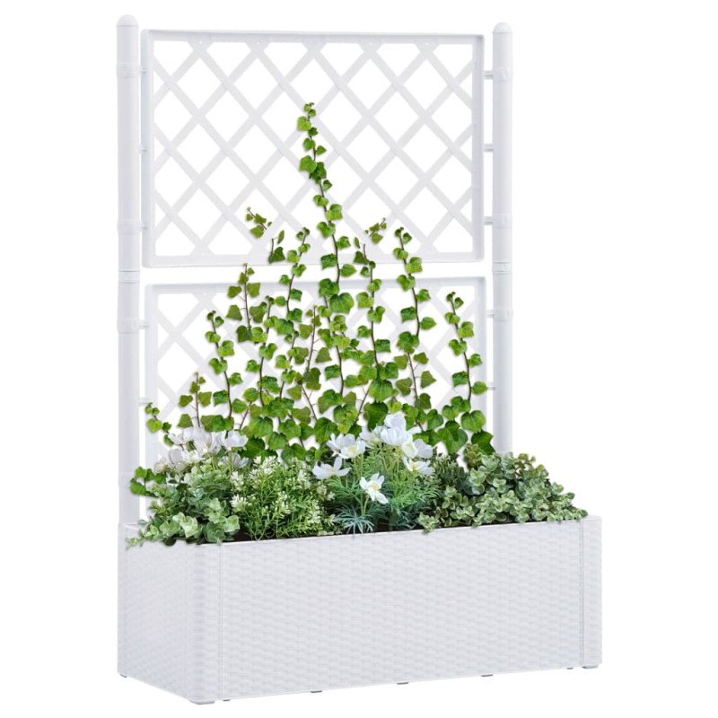 Garten-Hochbeet mit Spalier und Selbstbewässerungssystem Weiß Garten-Hochbeet mit Spalier und Selbstbewässerungssystem Weiß