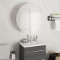 Badezimmerschrank mit Rundem Spiegel & LED Weiß 47x47x17,5 cm Badezimmerschrank mit Rundem Spiegel & LED Weiß 47x47x17,5 cm