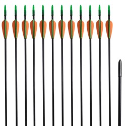Standard Recurvebogen-Pfeile 30" 0,6 cm Fiberglas 12 Stück