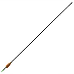 Standard Recurvebogen-Pfeile 30" 0,6 cm Fiberglas 12 Stück