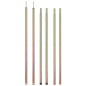 Teleskop-Zeltstangen 170-255 cm 2 Stk. Verzinkter Stahl Teleskop-Zeltstangen 170-255 cm 2 Stk. Verzinkter Stahl