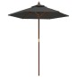 vidaXL Sonnenschirm mit Holzmast Anthrazit 196x231 cm vidaXL Sonnenschirm mit Holzmast Anthrazit 196x231 cm
