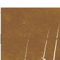 Gartentor 105x180 cm Cortenstahl Gras-Design Gartentor 105x180 cm Cortenstahl Gras-Design