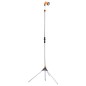 vidaXL Gartendusche mit Stativ 221 cm Aluminium vidaXL Gartendusche mit Stativ 221 cm Aluminium