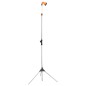 vidaXL Gartendusche mit Stativ 221 cm Aluminium vidaXL Gartendusche mit Stativ 221 cm Aluminium