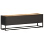 vidaXL TV-Schrank mit Geschnitzter Tür 130x30x40 cm Raues Mangoholz vidaXL TV-Schrank mit Geschnitzter Tür 130x30x40 cm Raues Mangoholz