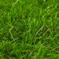 Kunstrasen 1x10 m/40 mm Grün Kunstrasen 1x10 m/40 mm Grün