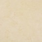PVC Laminat Dielen Selbstklebend 5,11 m² Beige PVC Laminat Dielen Selbstklebend 5,11 m² Beige