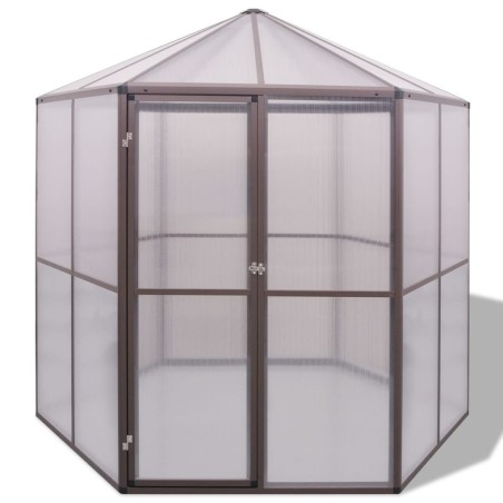 Gewächshaus Aluminium 240×211×232 cm